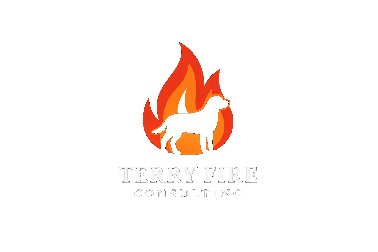 Terry Fire Consulting